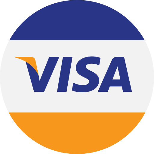 visa icon